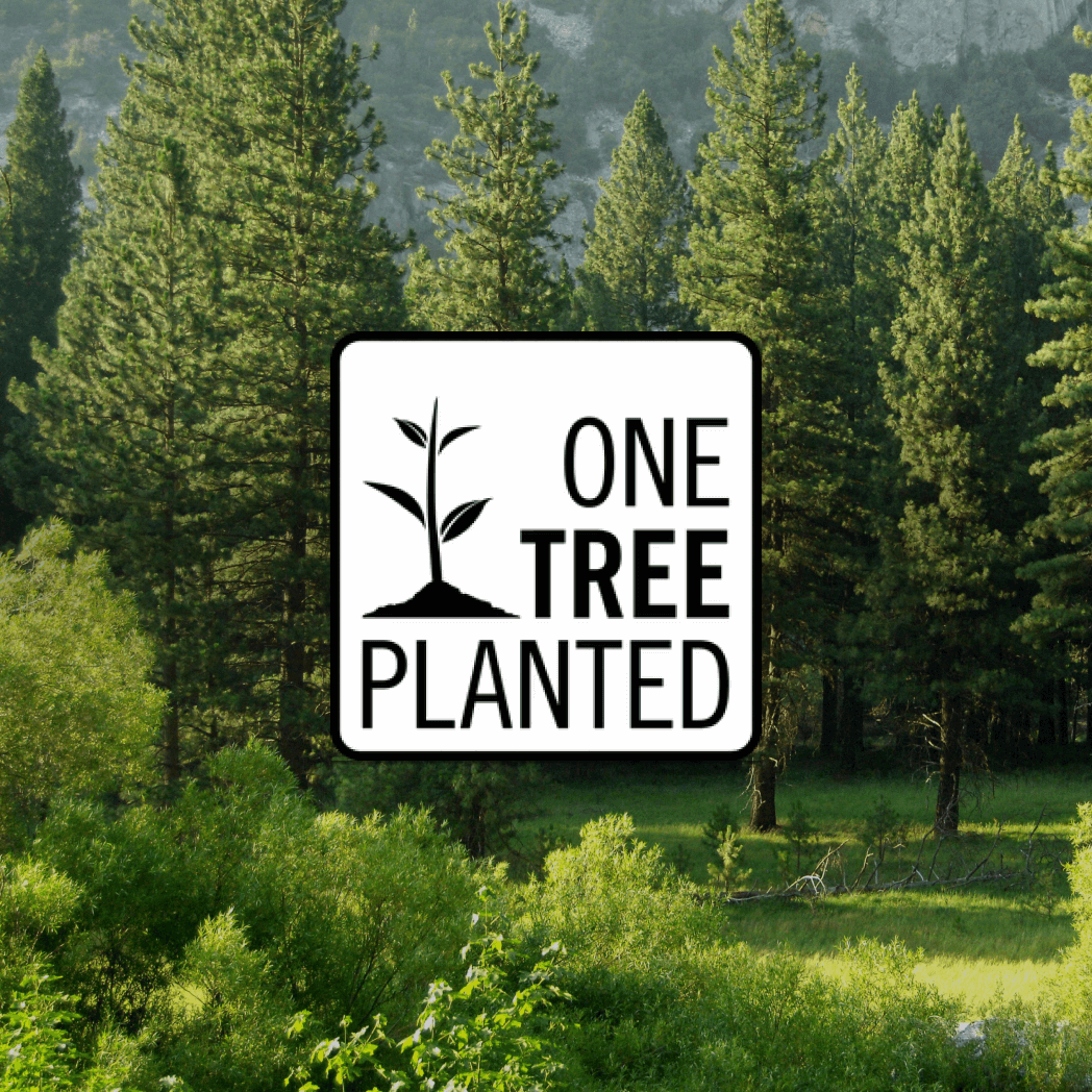 Donazione di un albero a One Tree Planted